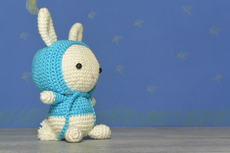 Bunny bleu (7)