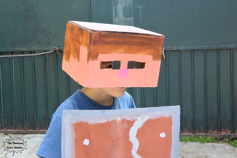 déguisement Minecraft